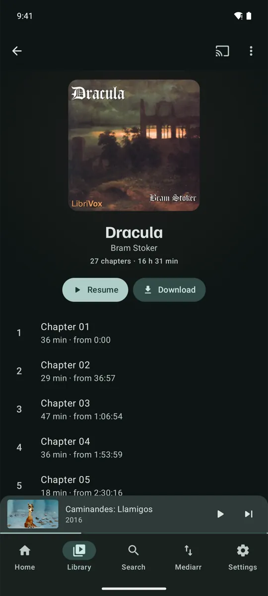 An audiobook's chapters
